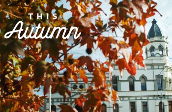AUTUMN Newsletter Images