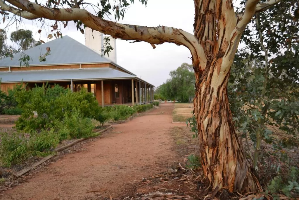 Yarrabandai Creek Homestead