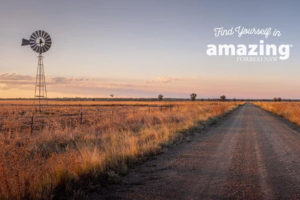 Autumn 2022 header