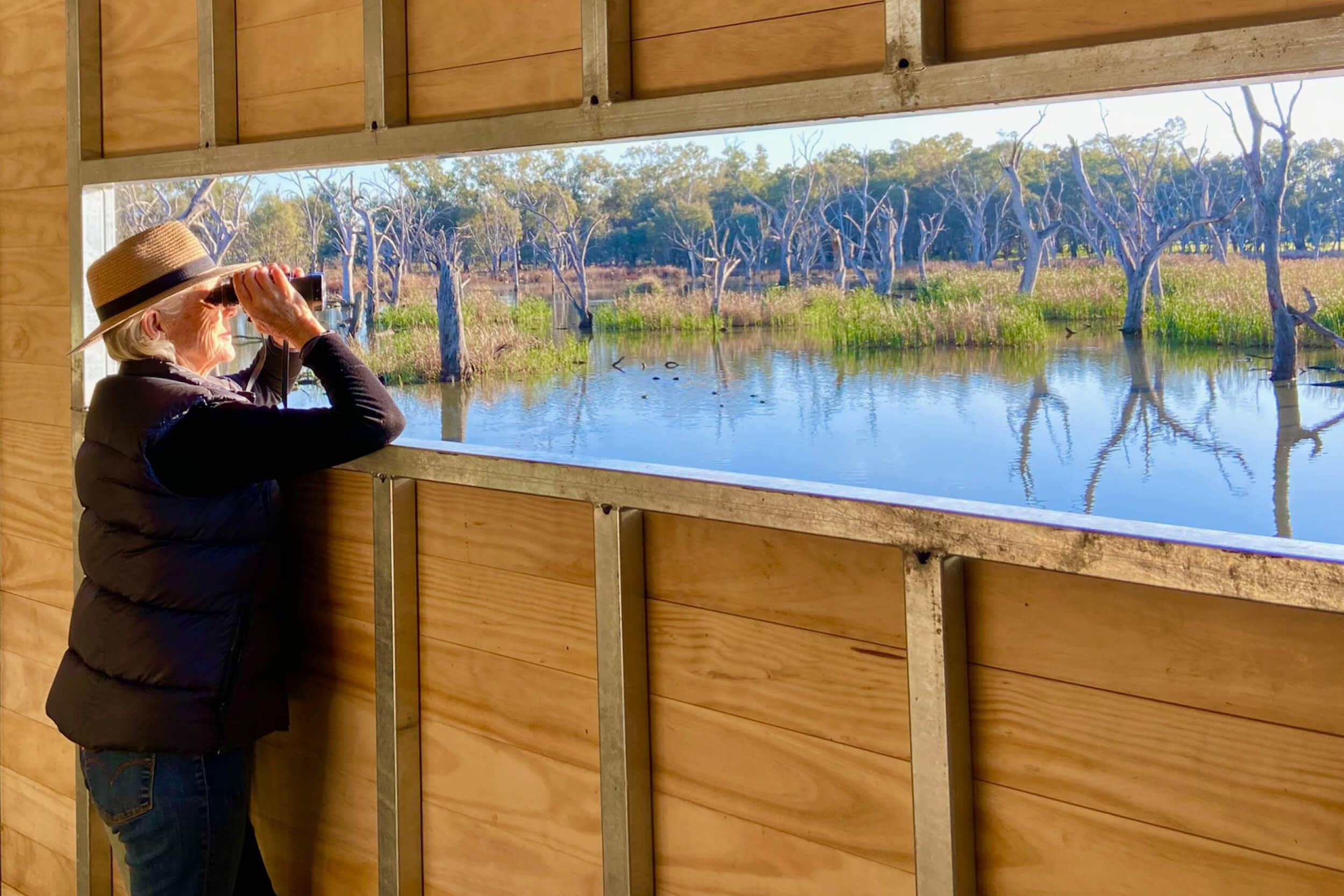 Bird Hide view