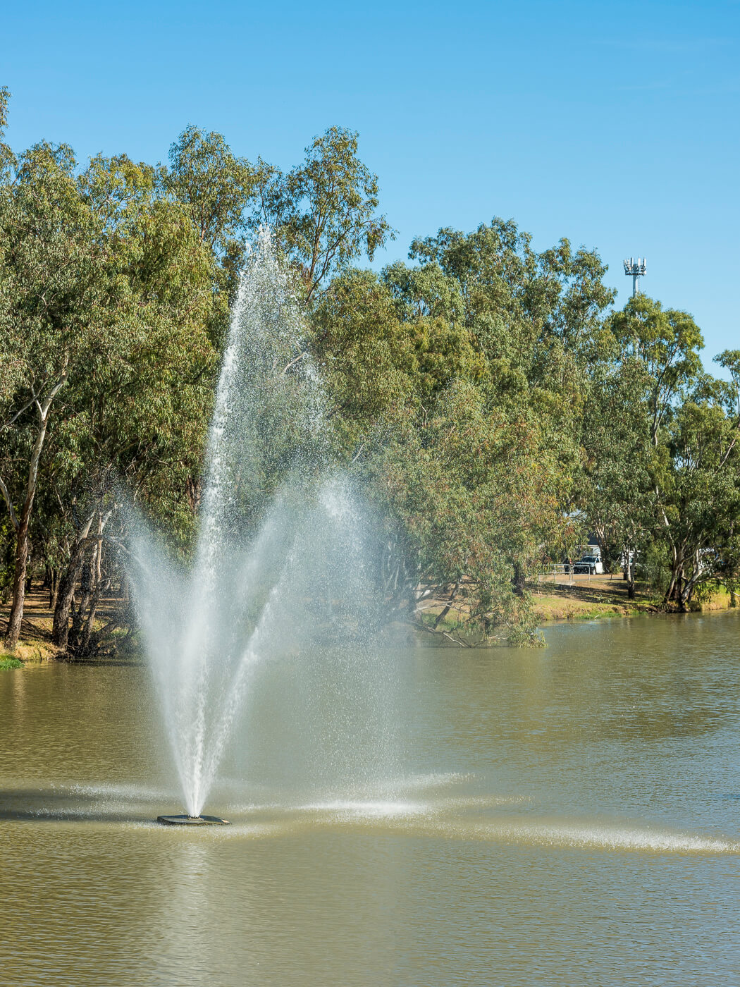 Lake Forbes