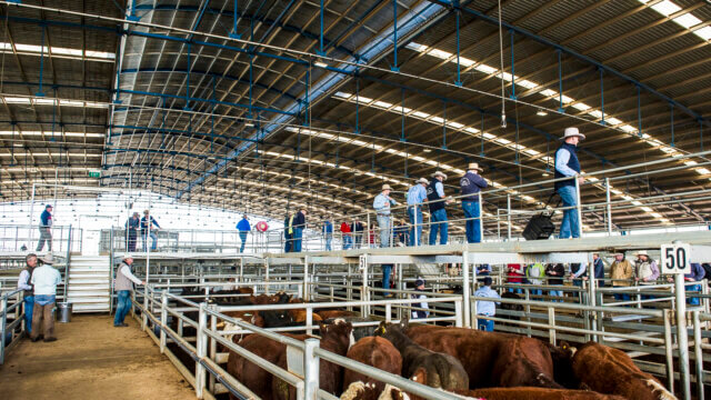 Central West Livestock Exchange