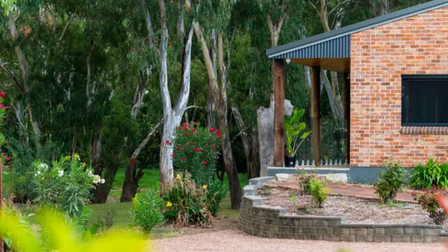 Galari-Image1